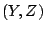 $(Y,Z)$
