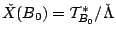 $\check X(B_0)=\mathcal{T}_{B_0}^*/\check\Lambda$