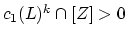 $ c_1(L)^k \cap [Z]>0$