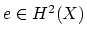 $ e \in H^{2}(X)$